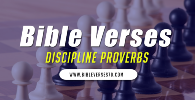 Discipline proverbs