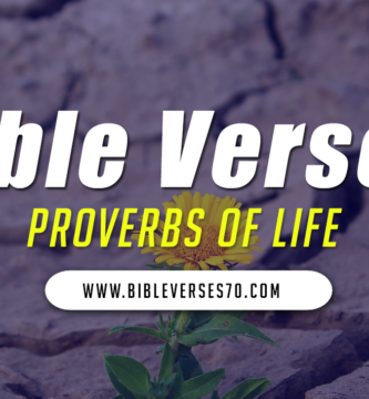 Proverbs of Life